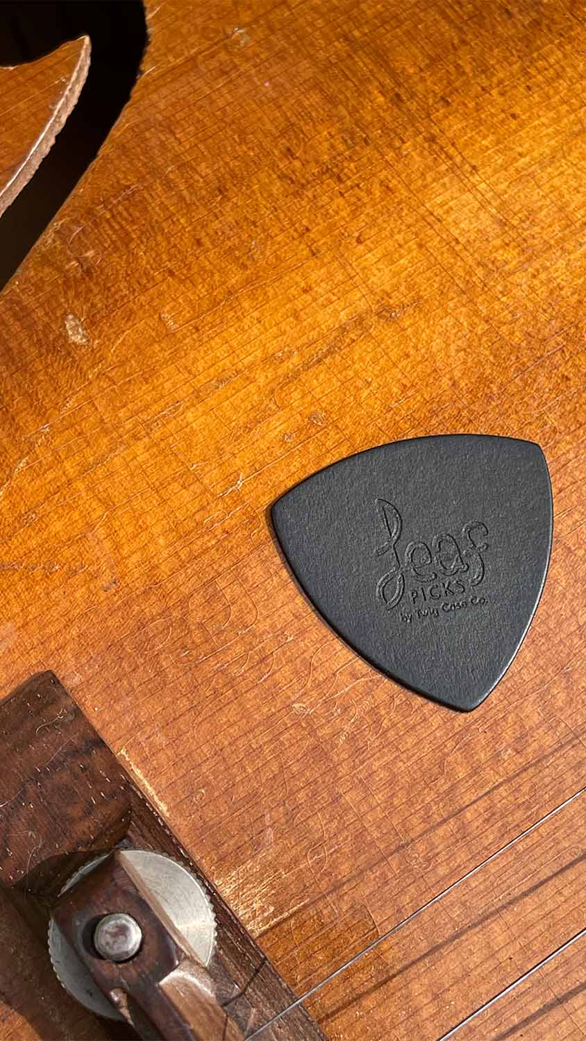 Leaf Guitar Picks - The Paper Pick, Guitar Picks - Twig Case Co.
